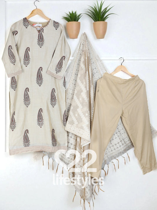 Beige Jamdani and Maheshwari Readymade Salwar Suit